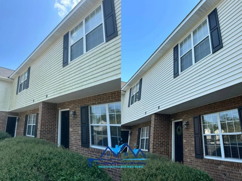 Soft Washing Pro Plus Ben Hill County