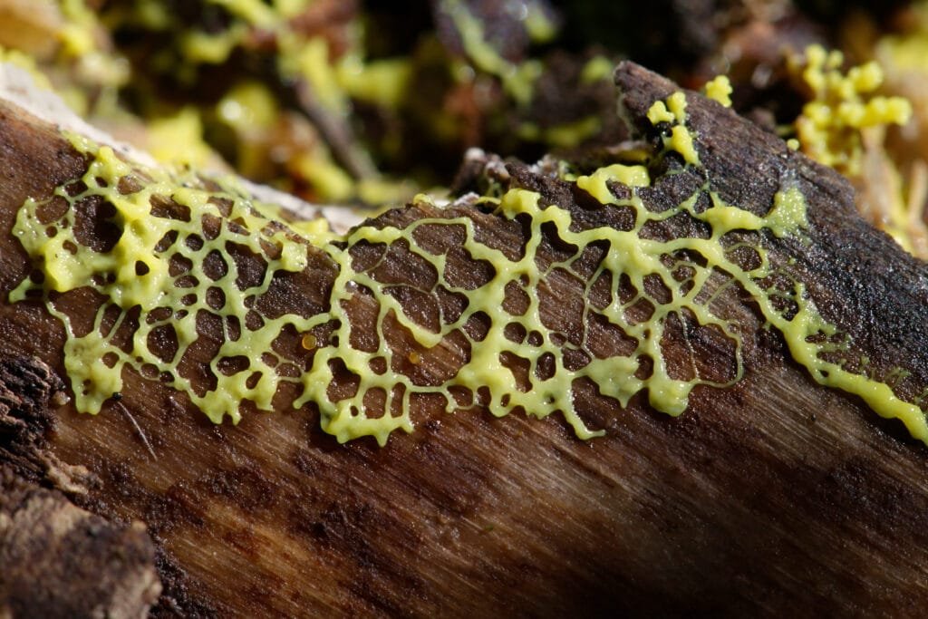 AdobeStock 241550654